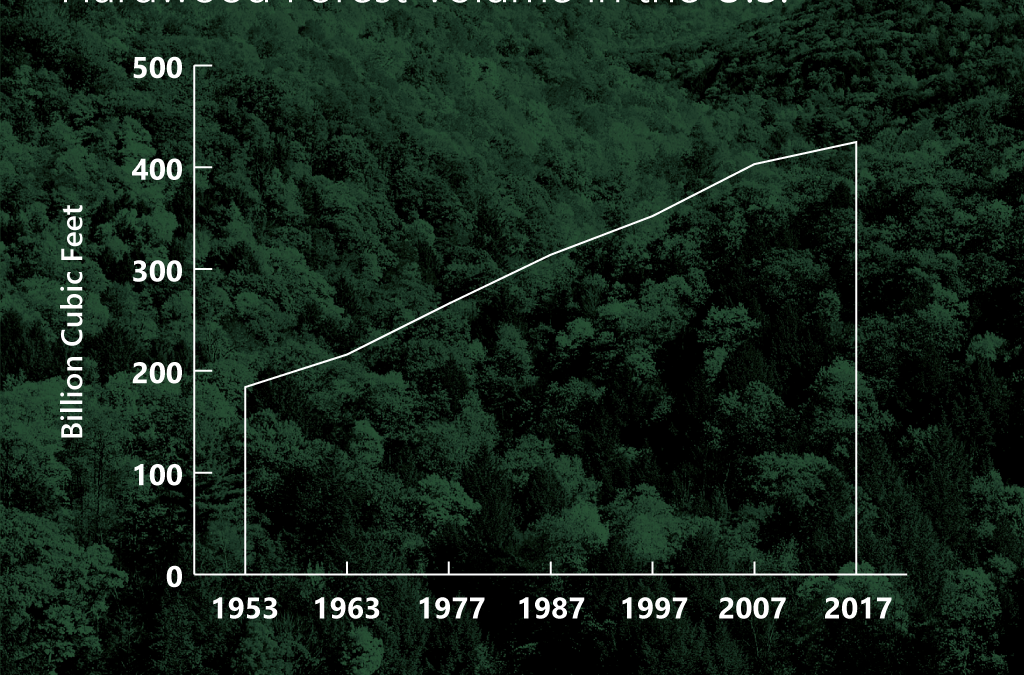 AH-Forest-Volume