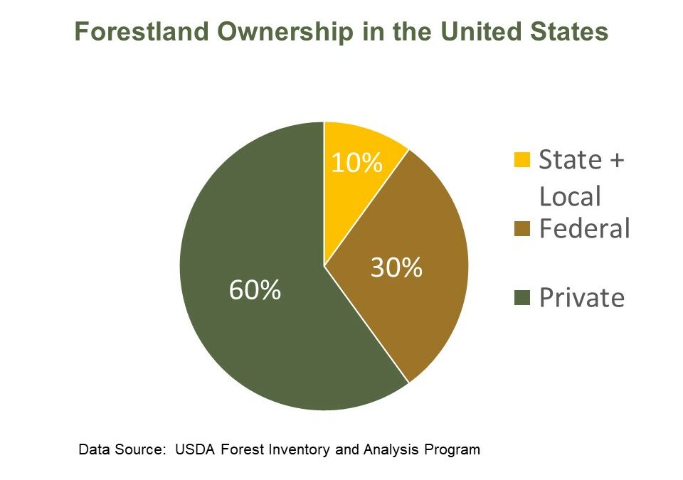 img_forestland-ownership