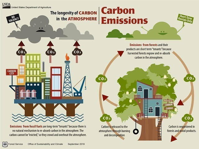 carbon emissions