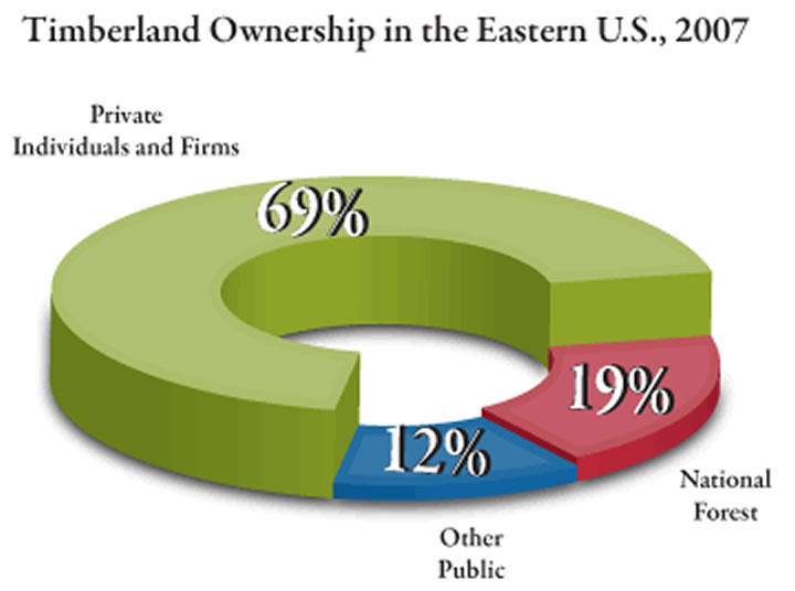 timberland-ownership