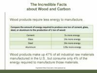 facts about wood and carbon_Page_01