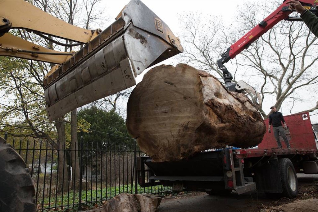 A fallen elm in Prospect Park, Brooklyn, being loaded onto a truck for transportation to RE-CO BKLYN’s mill in upstate New York where it will be turned into slabs and shipped back to the city.