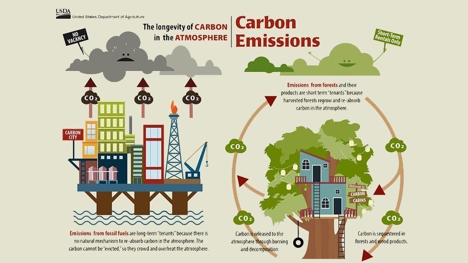 kow_carbon