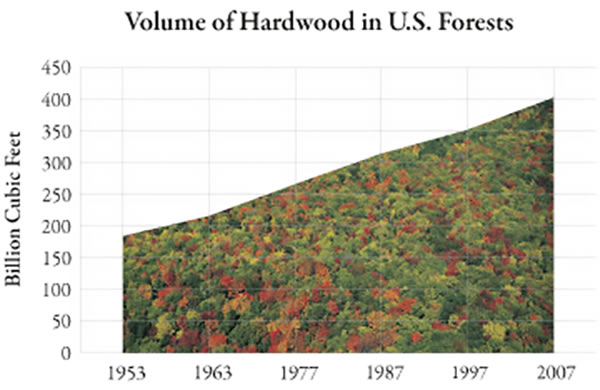 forest-volume