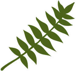 walnut-leaf