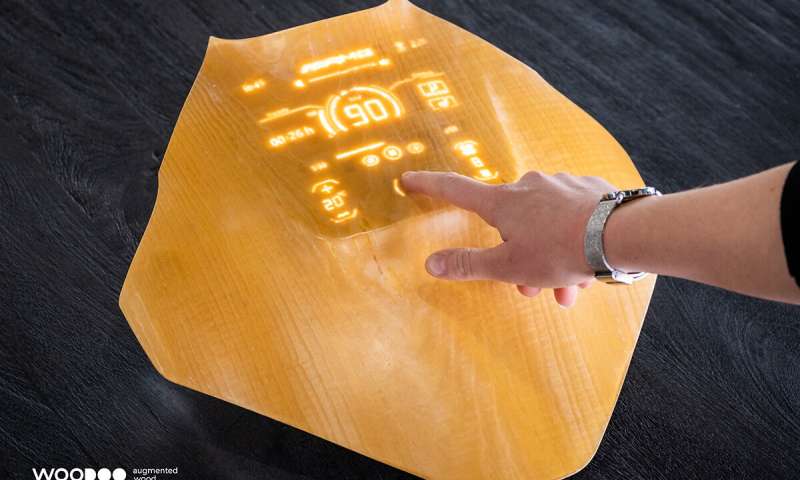 transparent wood